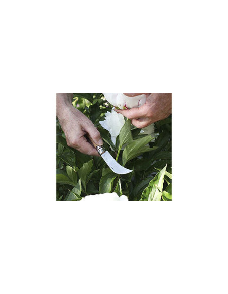 Coltello Opinel LC8 Serpette: Precisione e Sicurezza in Giardino