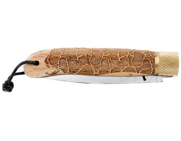 Klappmesser D&eacute;cal&eacute; S&eacute;rie Sauvage - Focus Girafe - 11213 - Khurts.com 2