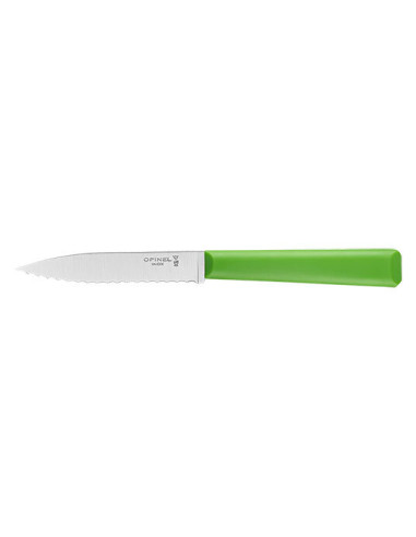 Officemesser Opinel gezahnt n&deg;313 Gr&uuml;n - Klinge 100mm - 13229 - Khurts.com