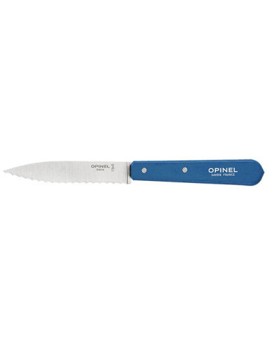 Opinel n&deg;113 Bleu Knife: Precision and Elegance in the Kitchen