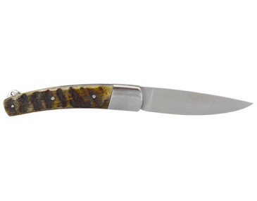 Le Montoncel Knife: Elegance and Precision with Ram Horn Handle 2