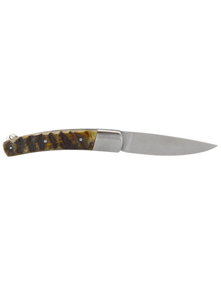 Coltello Le Montoncel: Eleganza e Precisione in Corno di Montone