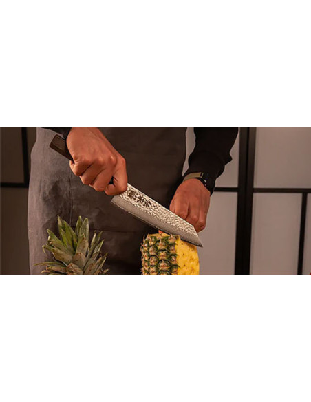Kotai Densho Chef Knife: Japanese Precision and Elegance