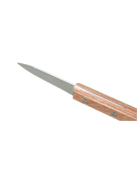 Coltello Fisso Kanestune : Precisione ed Eleganza per i Vostri Tagli