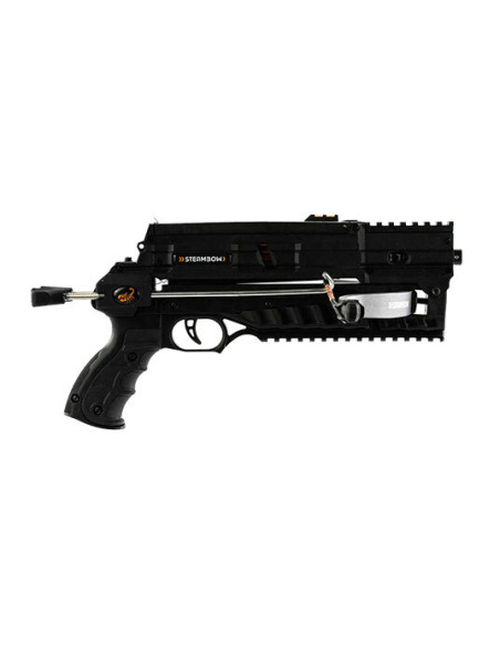 Armbrust AR-6 Compact : Leistung und Pr&auml;zision auf 25 m