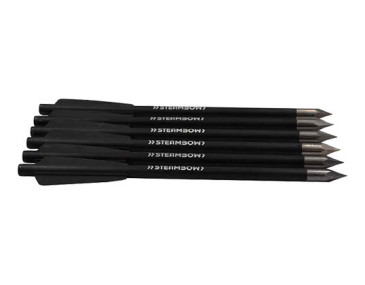 Aluminum Bodkin Pfeile : Pr&auml;zision und Robustheit im 10er-Set