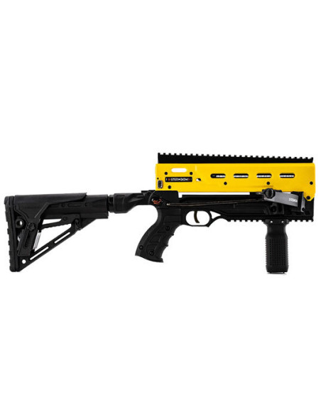 AR-Series B08 Tactical Cal.68 : Ultimative Kraft und Pr&auml;zision