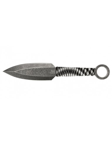 Kershaw Ion Wurfmesser