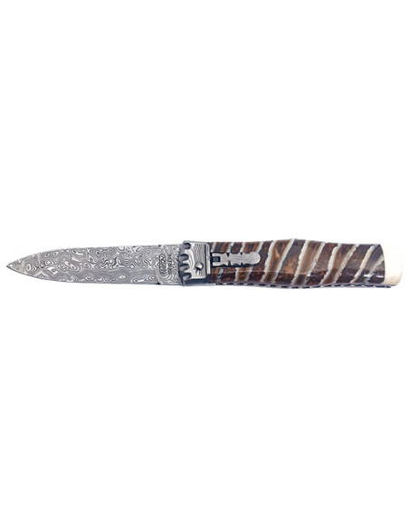 Navaja Mikov Predator: Elegancia y Filo Duradero