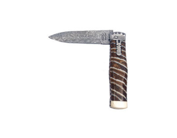 Messer Mikov Predator: Eleganz und dauerhafter Schliff 2