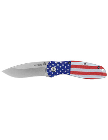 Coltello Pieghevole Kershaw Blur: Design USA e Filo Duraturo
